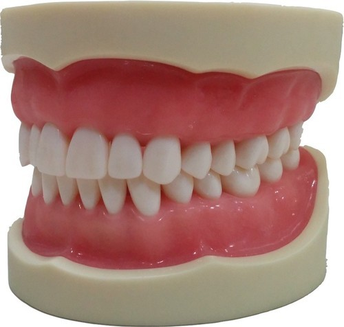 Dental cast model teeth for student operative training available in hard and extra hard types