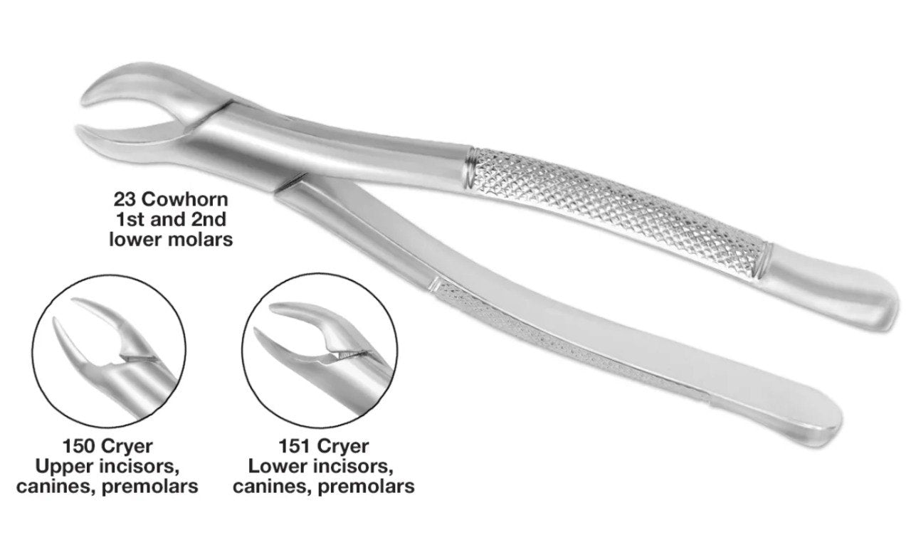 Mitex German pattern stainless steel extraction forceps for routine and surgical dental tooth extraction procedures.