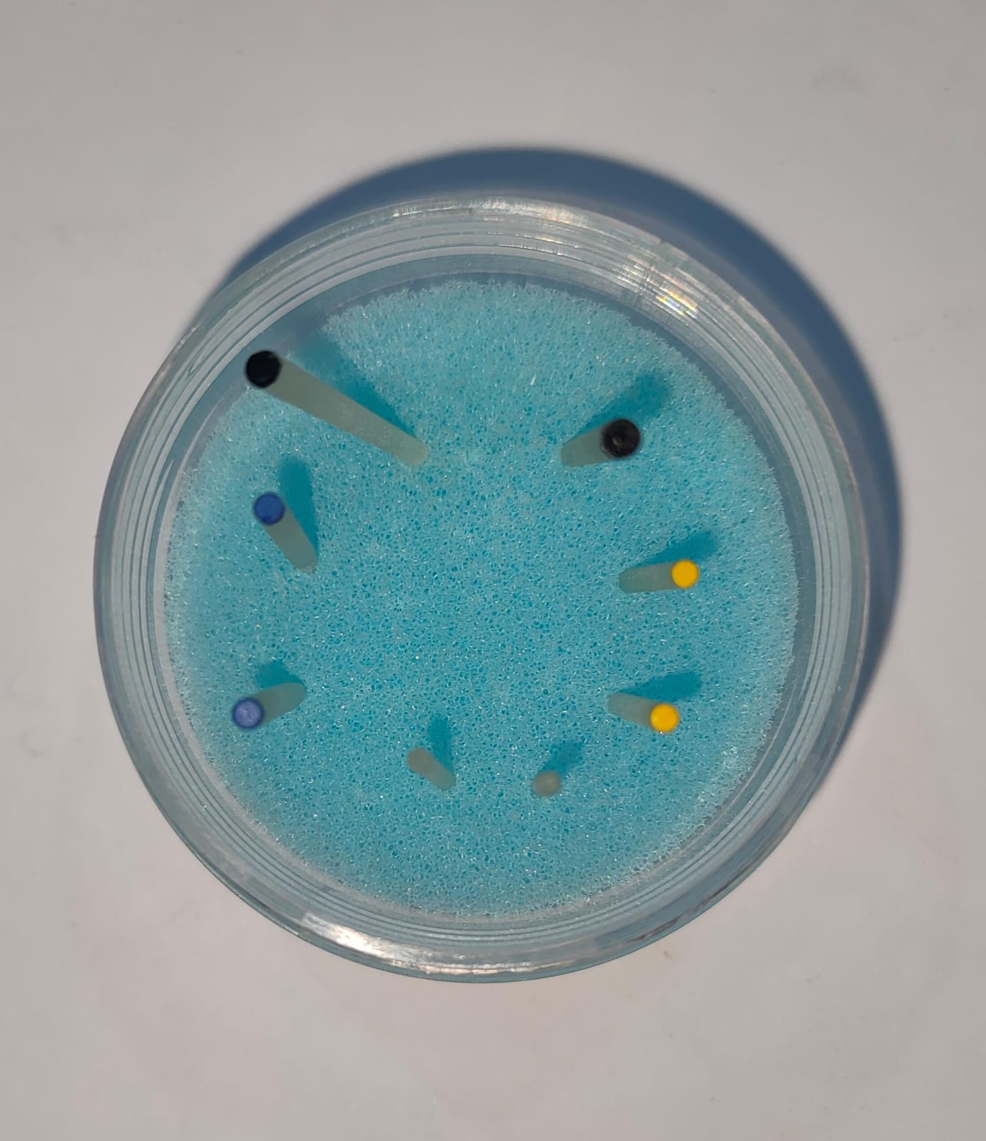 Bioloren Fiber Post