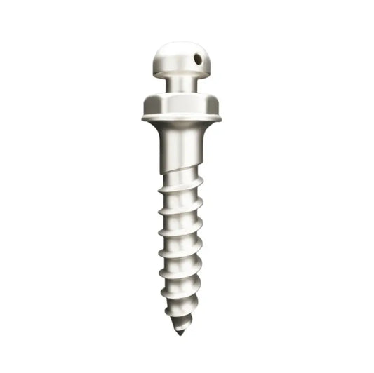 Matt Ortho Implant Mini Screw Mushroom Button Head 2 x 12 mm