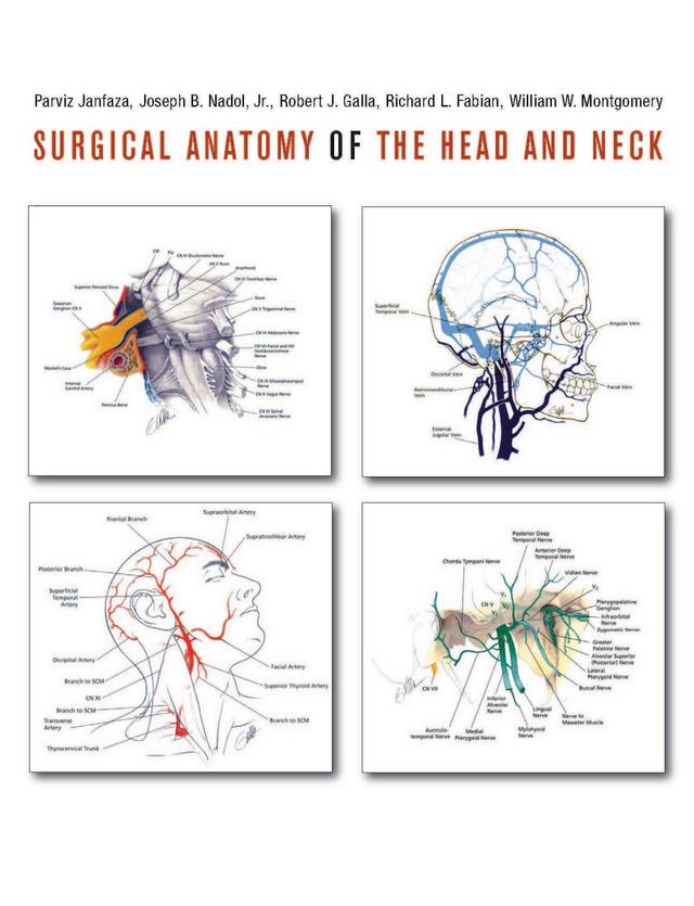 SURGICAL ANATOMY OF THE HEAD AND NECK 2011