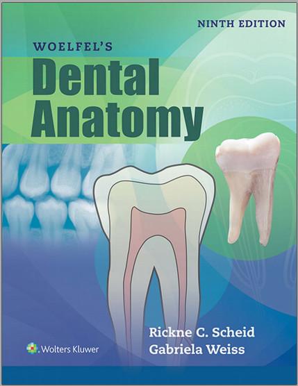 Woelfel's Dental Anatomy 2017