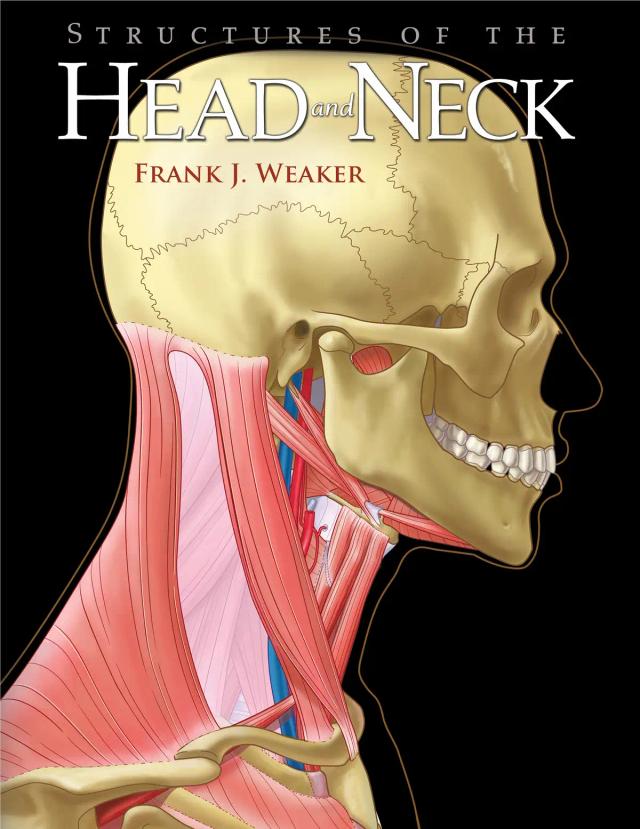 Structures of the head and neck 2014
